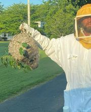 Four Seasons Pest Control Inc image 2