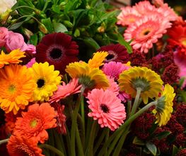 Atelier Cagna-Fleurs Bild 7
