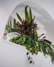 Opticien Grenoble - Optic 2000 image 18