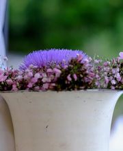 Chef George GmbH Bild 4