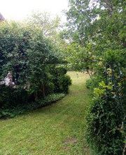 Green Garden Entretien image 2