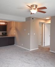 College View Apartments image 6