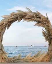 Dierickx Events image 3