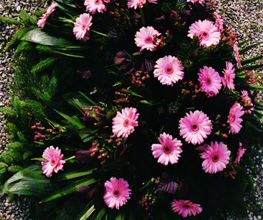 Blumen Dekoration Blumenladen | La Flora | München