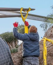 Royal Palm Aix image 8