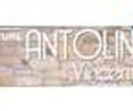Antolin Vincent EURL image 1