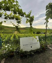 Waris Larmandier EARL image 10