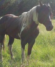 Renaudie Mireille image 1