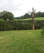 Baron Frederic image 10