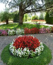 MANO PAYSAGE image 10