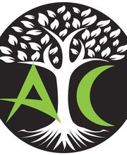 Alexandre Canal image 2