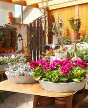 Les Compagnons de la Nature image 2