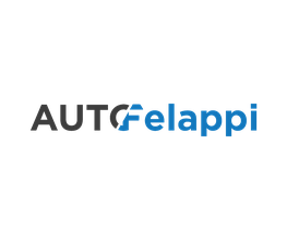 Autofelappi immagine 2