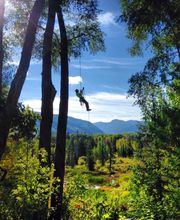 Aspen Tree Service - SavATree image 3