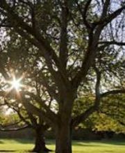 Entreprise Coquard Eurl image 2