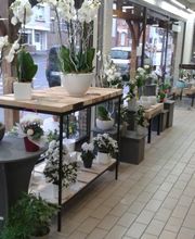 Fanny Fleurs image 10
