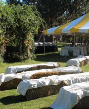 Shire in the Woods image 9