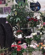 Petite Fleur image 11