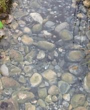 Simart Gartenbau GmbH Bild 7