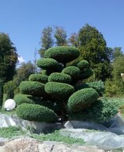 MM Gartenpflege GmbH Bild 2