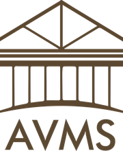 AVMS Metal SAS image 3