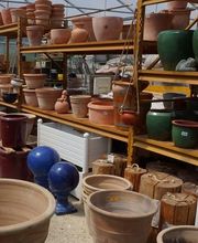 Pflanzencenter Fehr Bild 5