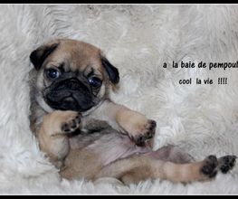 Sandrine Le Rest image 6