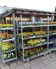 Blumencentrum und Gärtnerei Axel Gerdessen Bild 5