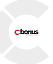 CIBORIUS Security & Service Solutions Berlin GmbH Bild 1