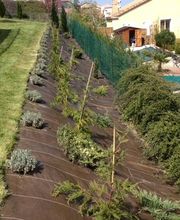 Jardins Et Maisons image 15