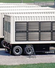 Yancey Rents Cat Rental Store image 4