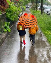 Kita Baselini Bild 7