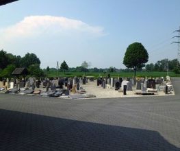 Steinmetz Tripp Bild 1