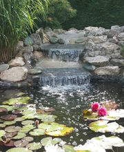 Art & Paysage image 9