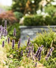 Garten und Bau Bernhardsgrütter AG Bild 4