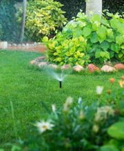 Agence Yellow image 11