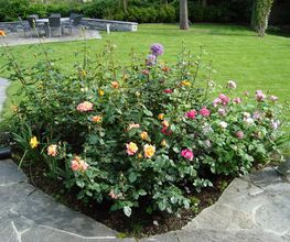 Krokus Gartenpflege GmbH Bild 6