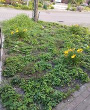 Andreas Meyer GaLa-Bau Bild 9