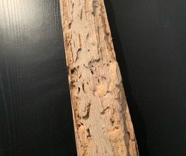 Pro Bat image 19