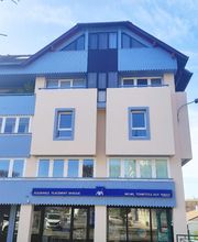 Toinette Michel image 5