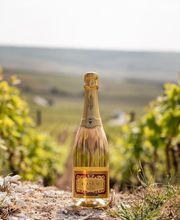 Champagne Trouillard image 3