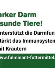 Leckmasse Fulminant Parafit