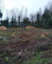 Nature Domestiquee image 9