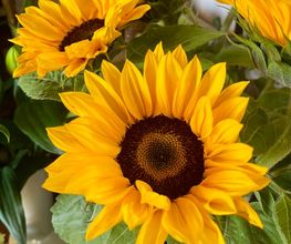 Blumenboutique Melanie Bild 9
