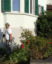 Schneider Garten Bild 4