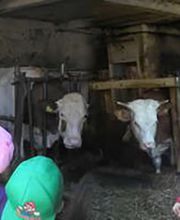 Kindertagesstätte Gailoher Kieselsteinchen Bild 2