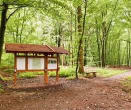 FriedWald Buxtehude Bild 11