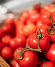 Obst und Gemüse
Knackig-frisches Obst und Gemüse ist nicht nur gesund, sondern auch ein absoluter Hingucker. Genau diese Frische erhalten wir täglich von unserem Hauptlieferanten EDEKA. Neben heimischen Klassikern findest Du bei uns auch exotische Früchte wie Maracuja, Kiwi, Ananas oder Papaya.