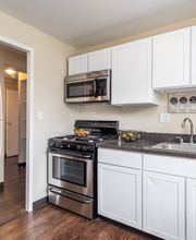 Rugby Square Apartments image 5
