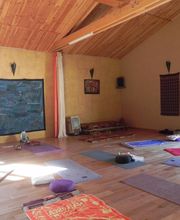 Gout Sylvie image 16